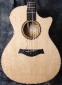 Taylor_Fall_Ltd_2010_Koa_Top