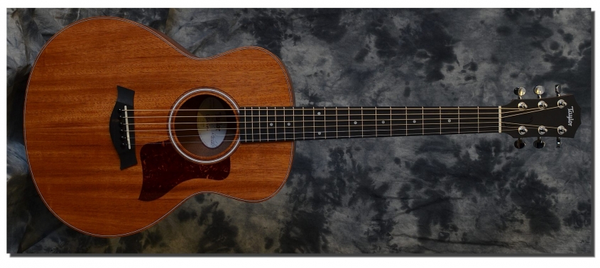 Taylor_GS Mini Mahogany