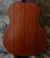 Taylor_GS Mini_back detail