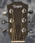 Taylor_GS Mini_headstock