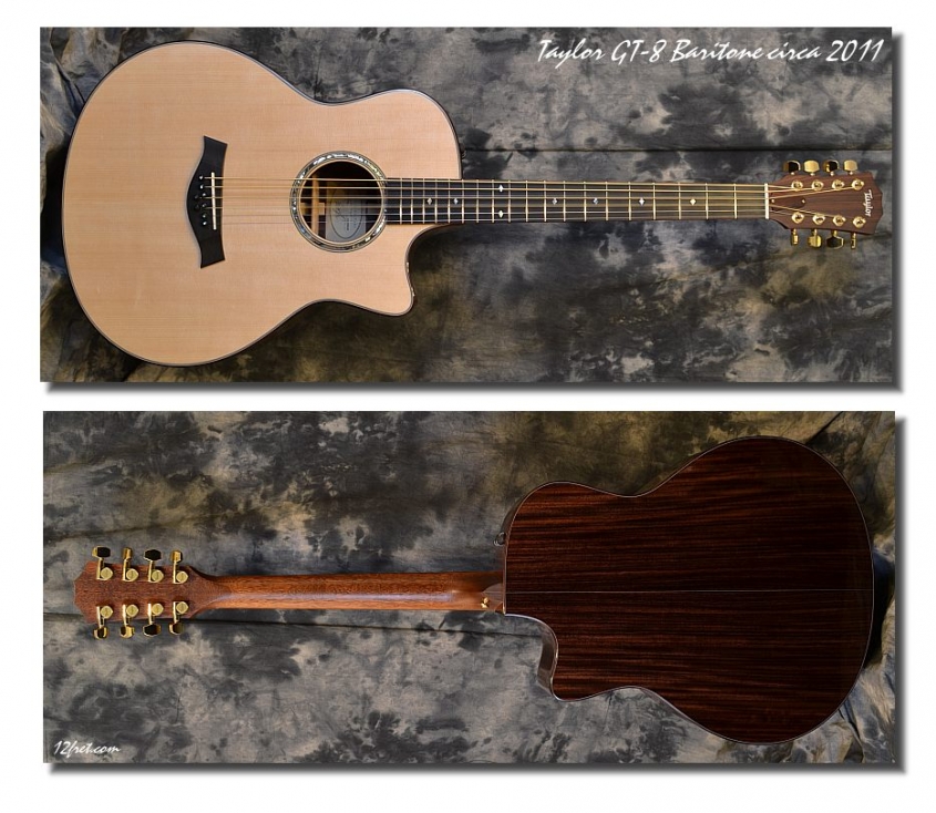 Taylor_GT-8 Baritone_2011(C)