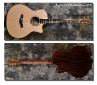 Taylor_GT-8 Baritone_2011(C)