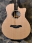 Taylor_GT-8 Baritone_2011(C)_top