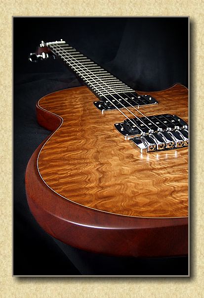The Taylor Solidbody Standard Electric Guitar www.12fret