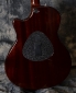 Taylor_T5-S_Burst_2005(C)_back