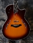 Taylor_T5-S_Burst_2005(C)_top