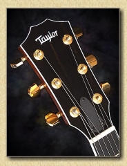 Taylor_T5_C1_guitar_b