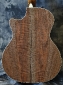 Taylor_Walnut_GA_LTD_Back