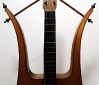 Telesforo_Julve_lyra_guitar_1900_cons_lyre_arms_2