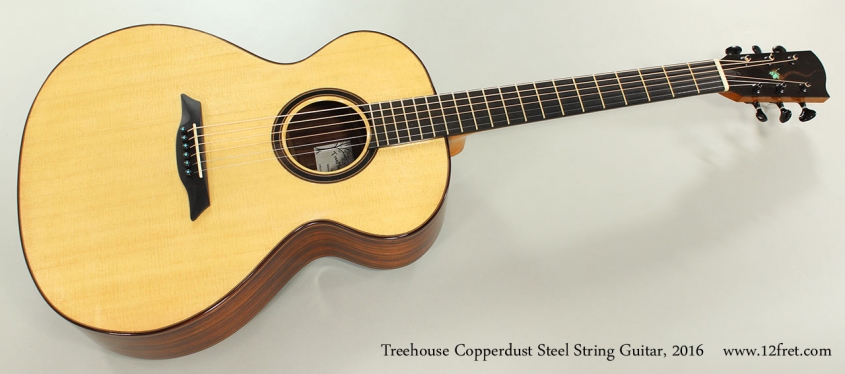 Treehouse Copperdust Steel String Guitar, 2016 Full Front View