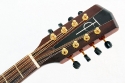 trinity_college_octave_mando_used_head_front_1