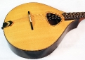 trinity_college_octave_mando_usedtop_1