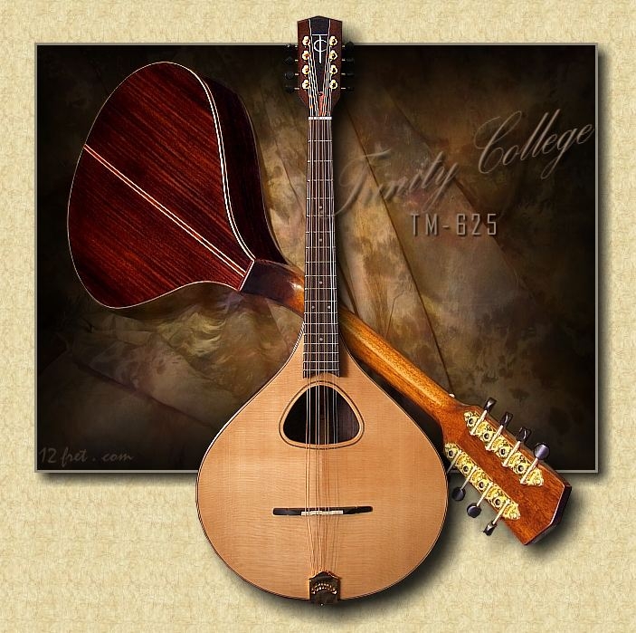 Trinity_College_TM-625_Octave_Mandolin