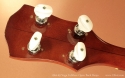 Vega-1964-ss-5-folklore-openback-head-rear-1