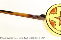 Vega Deluxe Electric Tenor Banjo Sunburst Restored, 1937 Full Rear View