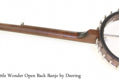 Vega Little Wonder Open Back Banjo by Deering Full Rear View