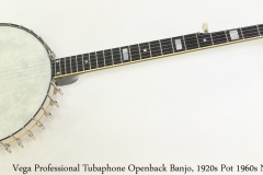 Vega Professional Tubaphone Openback Banjo, 1920s Pot 1960s Neck Full Front View