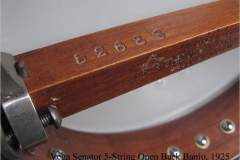 Vega Senator 5-String Open Back Banjo, 1925  - The Twelfth Fret