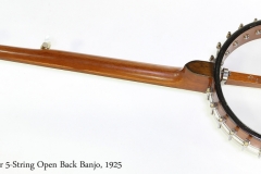 Vega Senator 5-String Open Back Banjo, 1925  Full Rear View