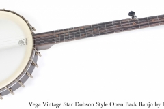 Vega Vintage Star Dobson Style Open Back Banjo by Deering Full Front View