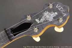 Vega White Oak Open Back Banjo 12 inch by Deering Head Front View