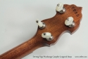 Vega Woodsongs Campfire Long Neck Banjo head rear view