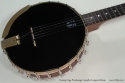 Vega Woodsongs Campfire Long Neck Banjo top