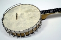 vega_imperial_electric_banjo_top_1