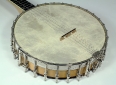 vega_imperial_electric_banjo_top_2