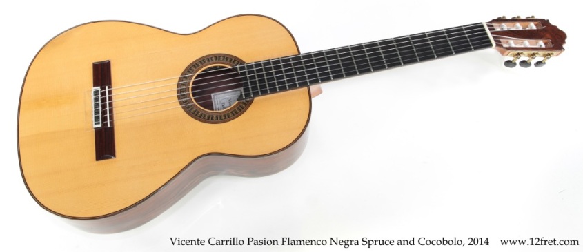 Vicente Carrillo Pasion Flamenco Negra Spruce and Cocobolo, 2014 Full Front View