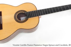 Vicente Carrillo Pasion Flamenco Negra Spruce and Cocobolo, 2014 Full Front View