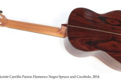 Vicente Carrillo Pasion Flamenco Negra Spruce and Cocobolo, 2014 Full Rear View