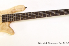 Warwick Streamer Pro M 5-String Bass, 1999  Full Front View