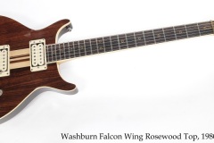Washburn Falcon Wing Rosewood Top, 1980 Full Front View