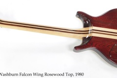 Washburn Falcon Wing Rosewood Top, 1980 Full Rear View
