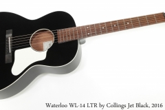 Waterloo WL-14 LTR by Collings Jet Black, 2016 Full Front View