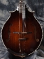 Webber_Bighorn_Mandolin_Top