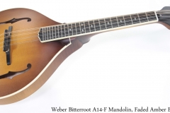 Weber Bitterroot A14-F Mandolin, Faded Amber Burst Full Front View