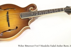 Weber Bitterroot F14-F Mandolin Faded Amber Burst, 2020 Full Front View