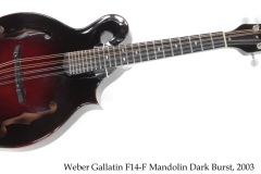 Weber Gallatin F14-F Mandolin Dark Burst, 2003 Full Front View
