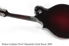 Weber Gallatin F14-F Mandolin Dark Burst, 2003 Full Rear View