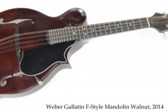 Weber Gallatin F-Style Mandolin Walnut, 2014 Full Front View