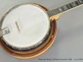 Weymann Banjo 5 String Conversion 1925 top