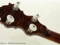 Wildwood Artist Custom Banjo head rear