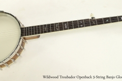 Wildwood Troubador Openback 5-String Banjo Gloss Finish  Full Front View