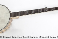 Wildwood Troubador Maple Natural Openback Banjo, 2007 Full Front View