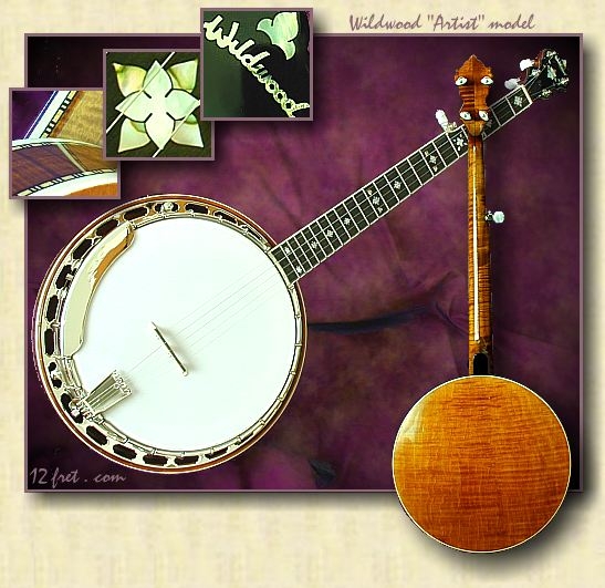 Artist banjo cheap