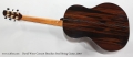 David Wren Concert Brazilian Steel String Guitar, 2010 Full Rear View