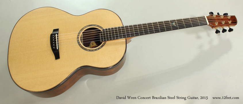 David Wren Concert Brazilian Steel String Guitar, 2015 Full Front View