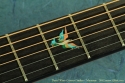 Wren Concert Sinker 2012 inlay